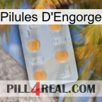 Engorge Pills 24